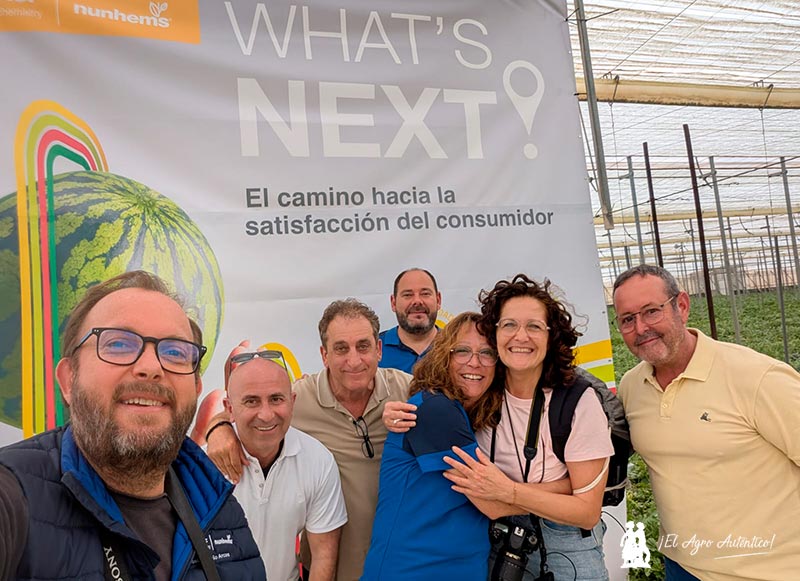 Sandía y melón de BASF| Nunhems