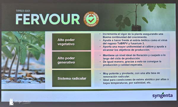 Portainjertos Fervour con resistencia a rugos de Syngenta