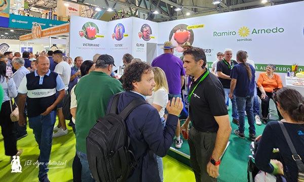 Berenjena Serafina y Marilola de Ramiro Arnedo 9-agroautentico.com