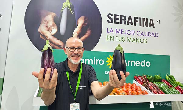 Berenjena Serafina y Marilola de ramiro Arnedo-agroautentico