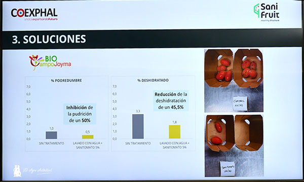 Ensayos de Sanifruit en Campojoyma
