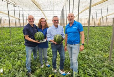 BASF | Nunhems presenta novedades en sandía blanca y negra y en polinizadores