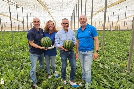 BASF | Nunhems presenta novedades en sandía blanca y negra y en polinizadores