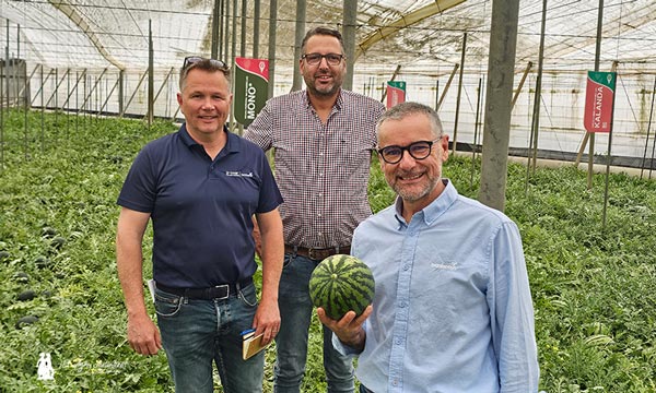 BASF | Nunhems presenta novedades en sandía blanca y negra y en polinizadores 25 -agroautentico