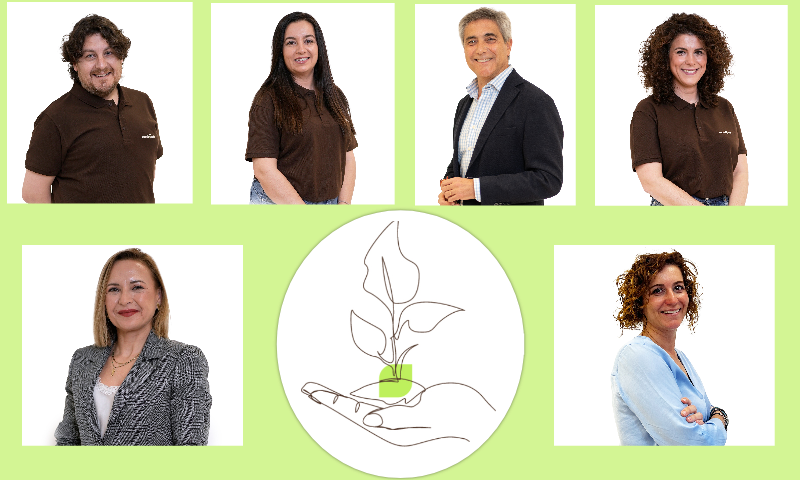 Meridiem luce una nueva reorganización estratégica para liderar las semillas