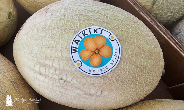 Waikiki, la historia de un mundo exótico convertido en fruta 6