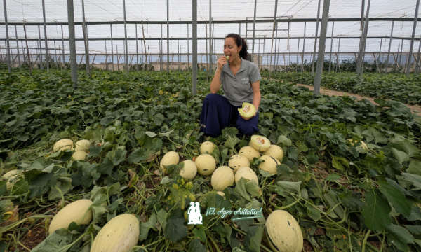 Andrea Álvarez, responsable de desarrollo de negocio de Unica, con un bocado de Little Planet / agroautentico.com