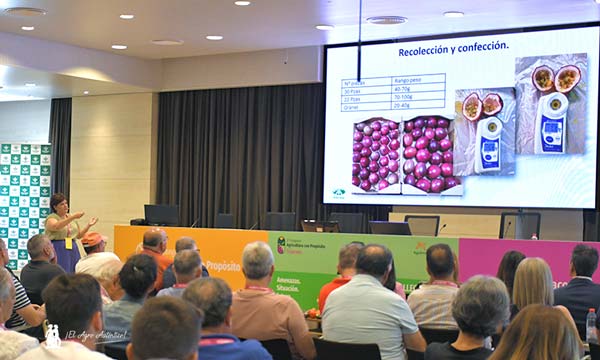 La maracuyá es el nuevo tropical para cultivo en invernadero
