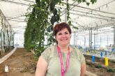 La maracuyá es el nuevo tropical para cultivo en invernadero
