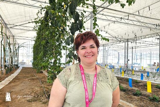 La maracuyá es el nuevo tropical para cultivo en invernadero