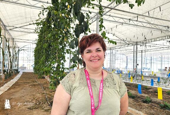 La maracuyá es el nuevo tropical para cultivo en invernadero