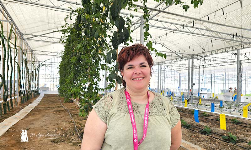 La maracuyá es el nuevo tropical para cultivo en invernadero