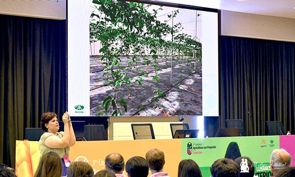 La maracuyá es el nuevo tropical para cultivo en invernadero 2