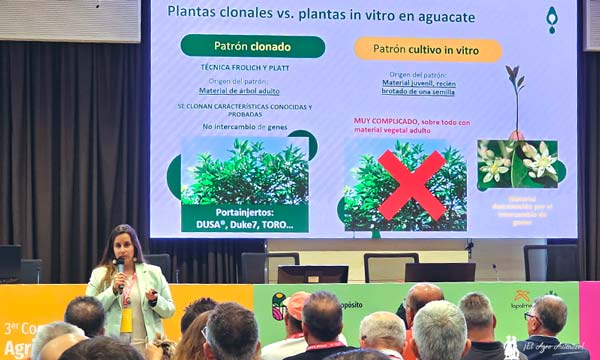 Elsa Grande Abascal, adjunta a la dirección técnica en Brokaw España / agroautentico.com