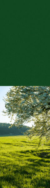 agrocolor banner 2025