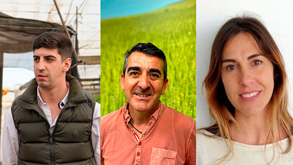 Cómo influyen los setos vegetales en el control de las plagas con Koppert