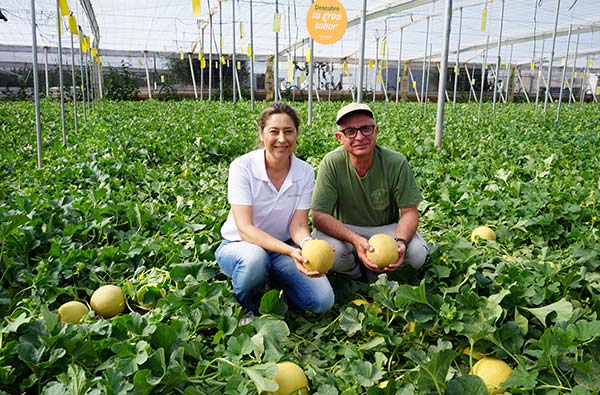 El breeder HM.Clause francés de melón Galia de HM Clause