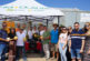 El breeder francés de melón Galia de HM.Clause