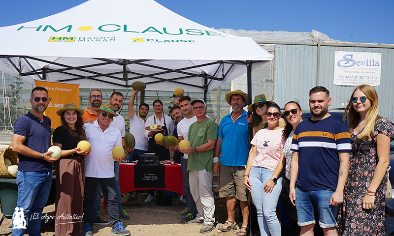El breeder francés de melón Galia de HM.Clause
