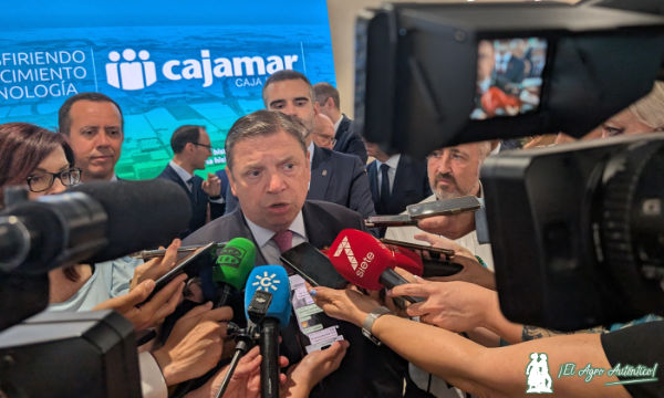 Cajamar celebra 50 años de Las Palmerillas inaugurando edificio con laboratorio de biotecnología