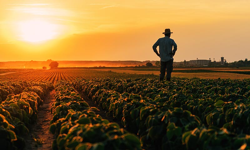 Bayer el presente y el futuro de la agricultura y sus retos