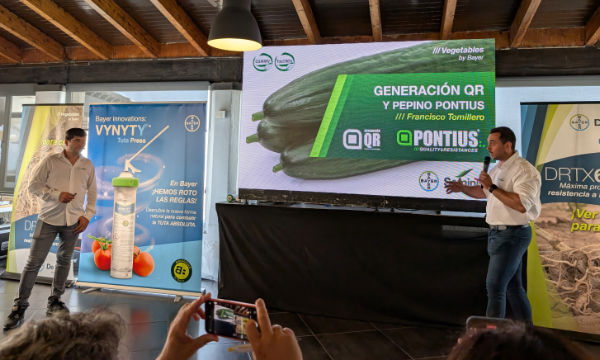 Generación QR y pepino Pontius / agroautentico.com