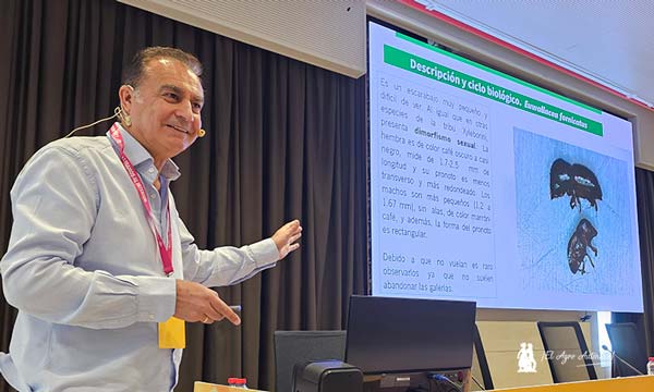 Ignacio Henares Civantos, profesor de la Universidad de Granada y asesor técnico de sanidad vegetal en la Delegación de Agricultura / agroautentico.com