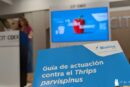 Bioline adelanta la próxima campaña de pimiento con su Guía frente a Parvispinus