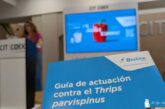 Bioline adelanta la próxima campaña de pimiento con su Guía frente a Parvispinus