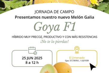 Día 25 de junio. Jornada de melón Galia de Takii Seed