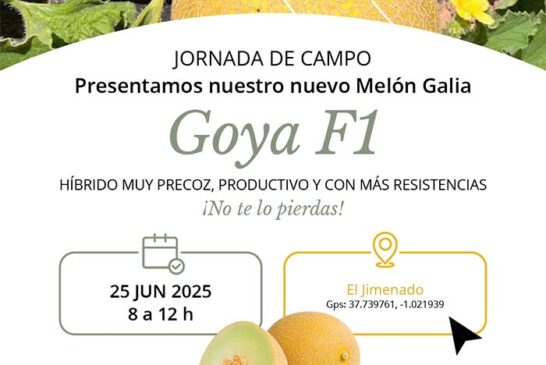 Día 25 de junio. Jornada de melón Galia de Takii Seed