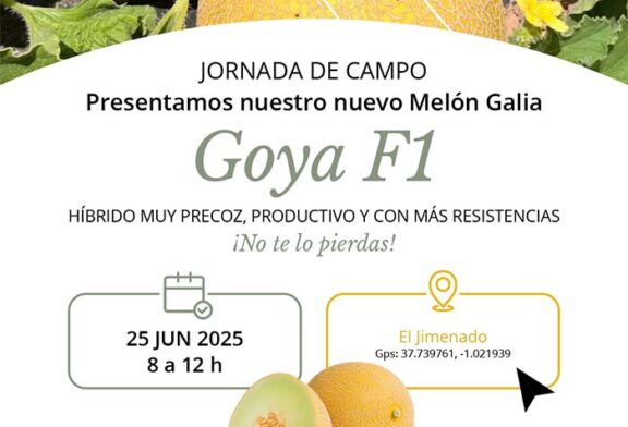 Día 25 de junio. Jornada de melón Galia de Takii Seed