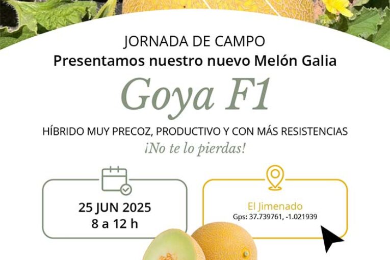 Día 25 de junio. Jornada de melón Galia de Takii Seed