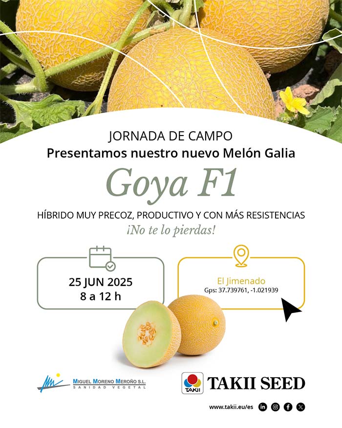 Día 25 de junio. Jornada de melón Galia de Takii Seed