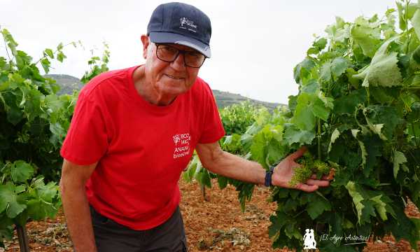 José Antonio Palop, director técnico y de desarrollo de Ecohigiene / agroautentico.com