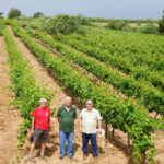 Lupión y Rodríguez con Ecohigiene en Laujar de Andarax en las viñas de Cepa Bosquet / agroautentico.com