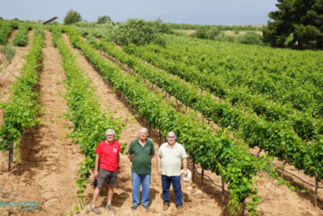 La vid en el valle de Laujar rejuvenece con Ecohigiene y Lupión y Rodríguez