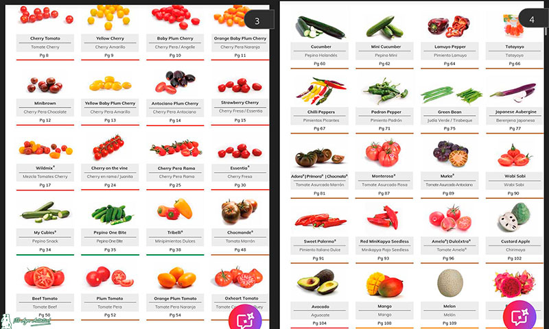 Catálogo de frutas y hortalizas de cooperativa La Palma / agroautentico.com