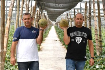 Los marquistas eligen Bobal ND