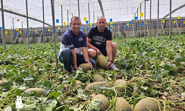 Javier y Jorge Mingorance, agricultores ejidenses, en su finca de melón Bobal ND / agroautentico.com