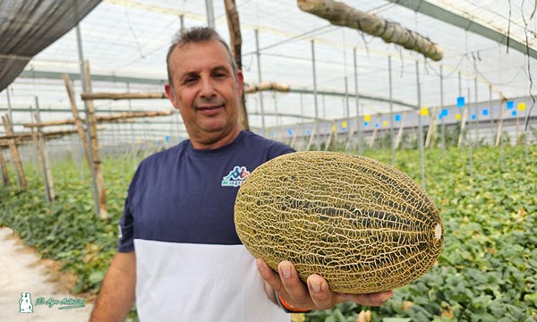 Javier Mingorance con una pieza de melón Bobal ND de Syngenta / agroautentico.com