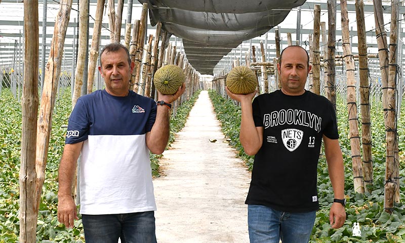 Los marquistas eligen Bobal ND