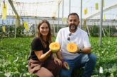 HM.Clause propone en melón una especialidad de corteza blanca y carne anaranjada