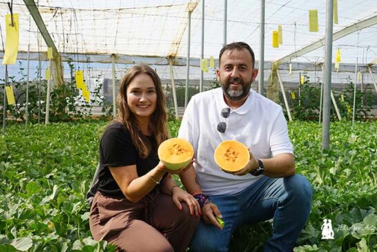 HM.Clause propone en melón una especialidad de corteza blanca y carne anaranjada
