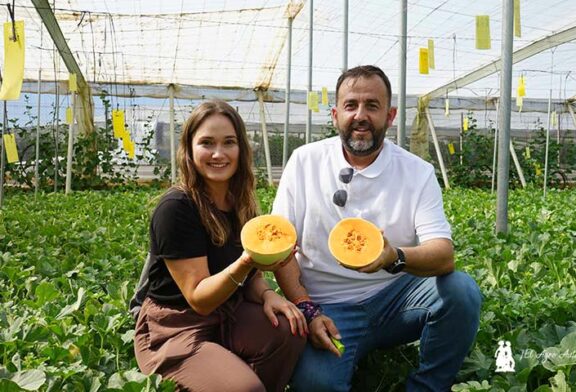 HM.Clause propone en melón una especialidad de corteza blanca y carne anaranjada