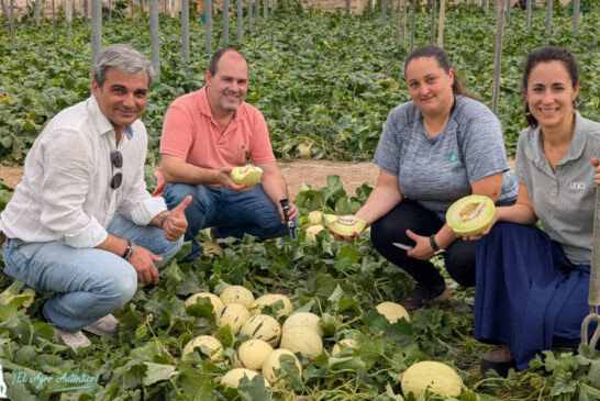 Unica da valor a una nueva categoría de fruta con el Little Planet de Fitó