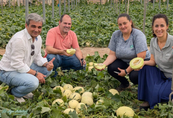 Unica da valor a una nueva categoría de fruta con el Little Planet de Fitó