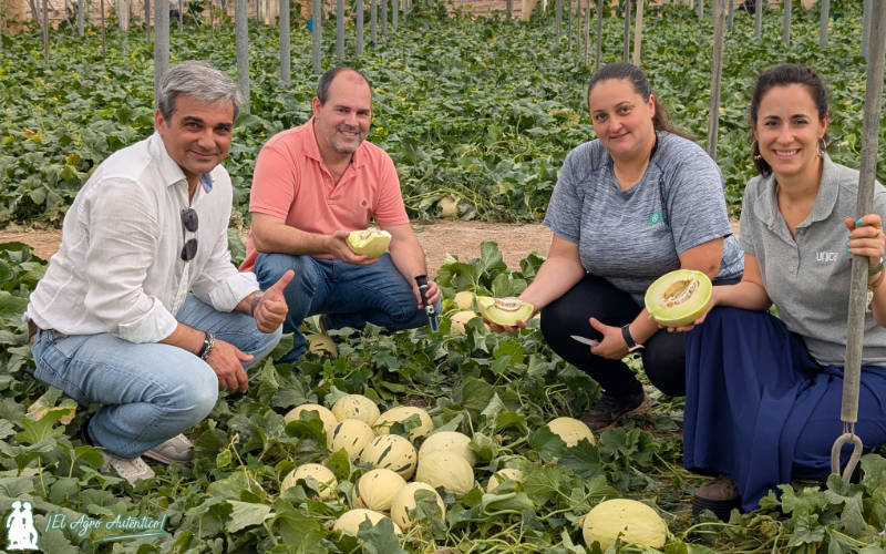 El gerente de Copisi, con un técnico y agricultura de Ferva y con la responsable de negocio de la cooperativa / agroautentico.com