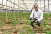 Nuevo CEO de Plant Health Care: “Lo visto en Almería y Granada es único en el mundo”
