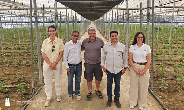 El nuevo CEO de Plant Health Care, Jagresh Rana, hoy jueves en la finca de Juan Gabriel con el resto del equipo de PHC / agroautentico.com